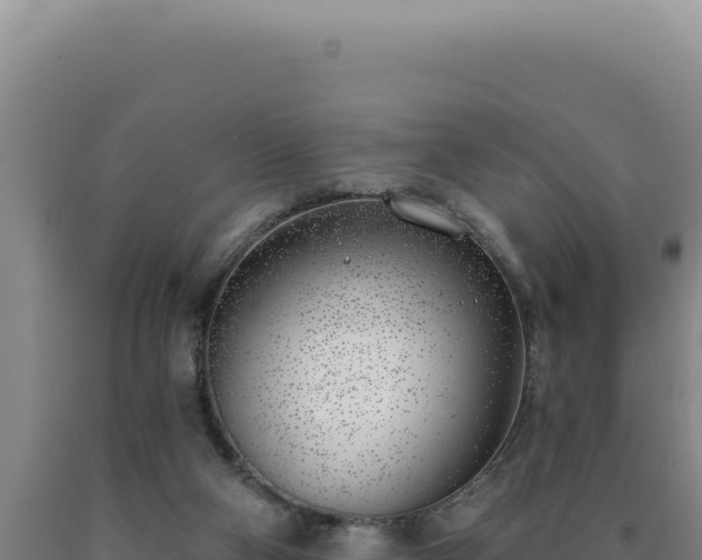 X0000090750114200707271453