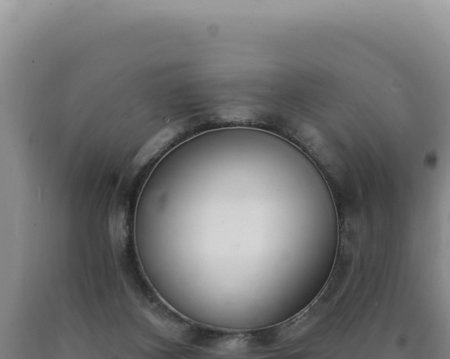 X0000090750116200707271453