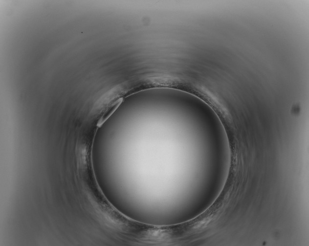 X0000090750117200707271453