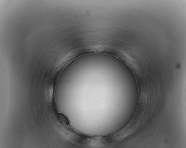 X0000090750118200707271453