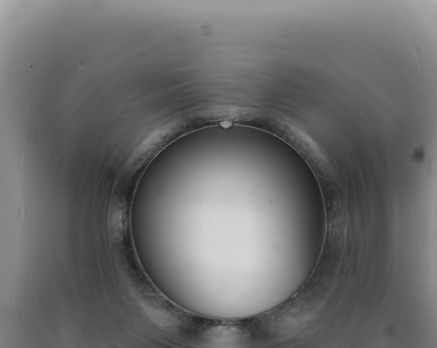 X0000090750119200707271453