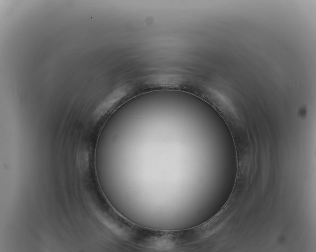 X0000090750120200707271453