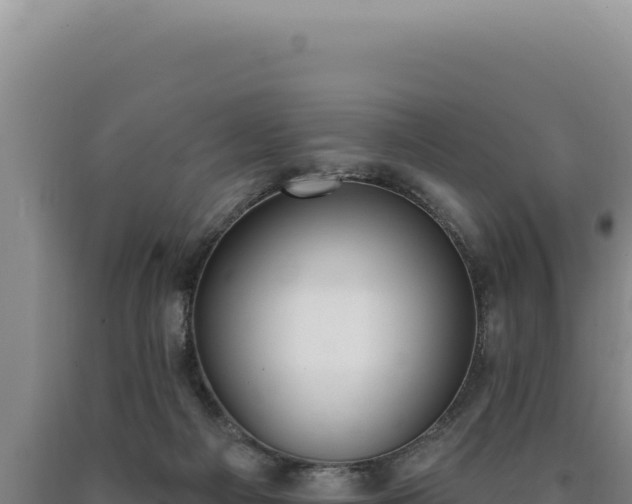 X0000090750121200707271453