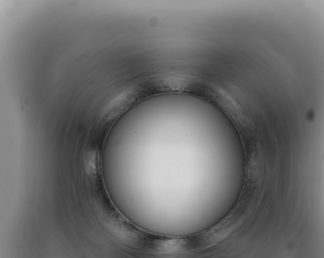 X0000090750122200707271453