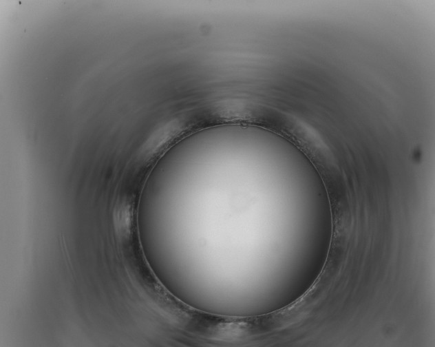 X0000090750124200707271453