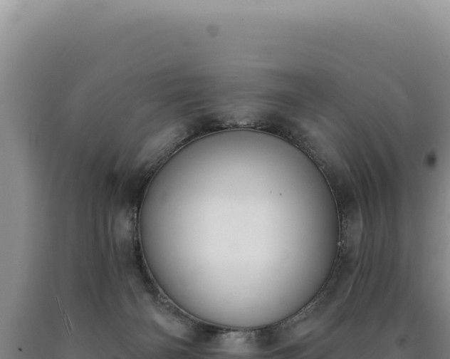 X0000090750126200707271453