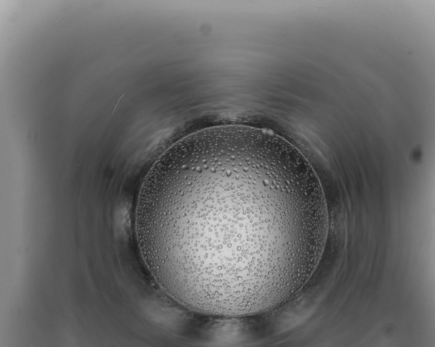 X0000090750127200707271453