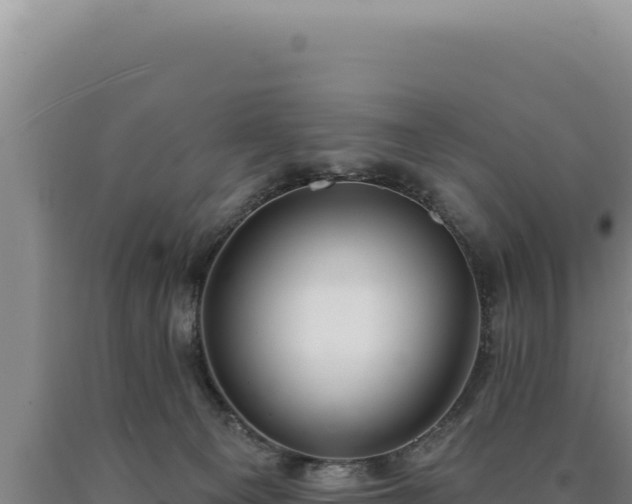 X0000090750129200707271453