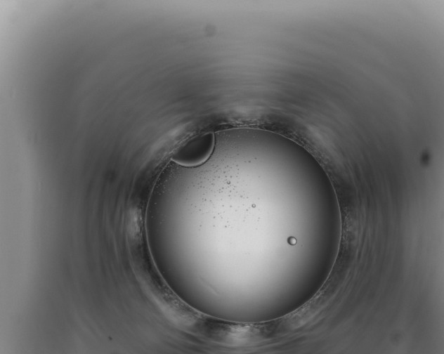 X0000090750130200707271453