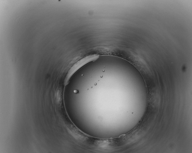 X0000090750131200707271453