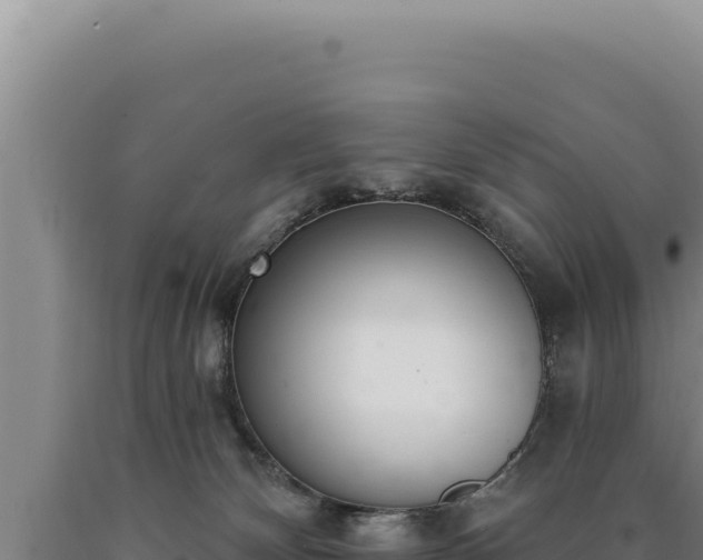 X0000090750132200707271453