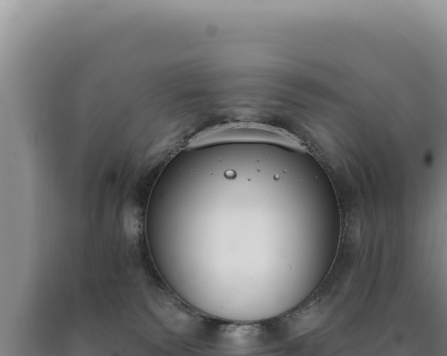 X0000090750135200707271453