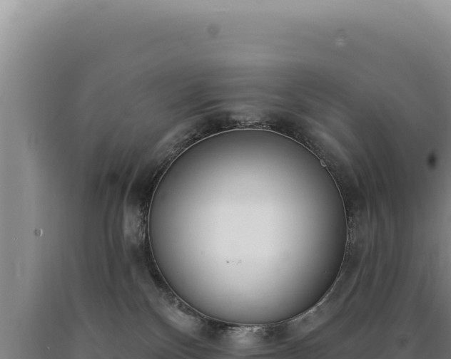 X0000090750136200707271453