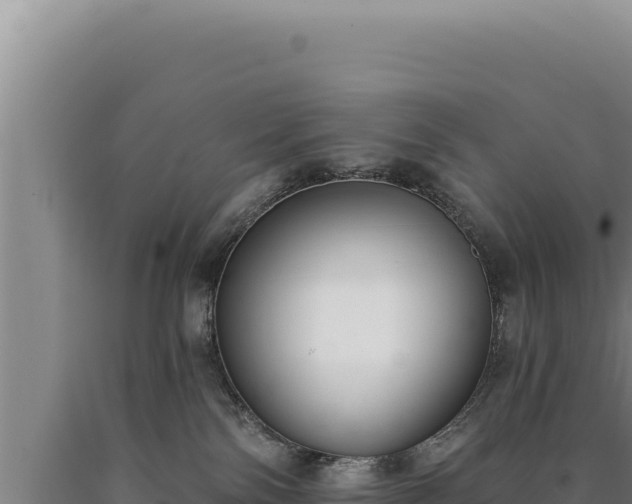 X0000090750138200707271453