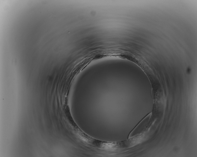 X0000090750139200707271453