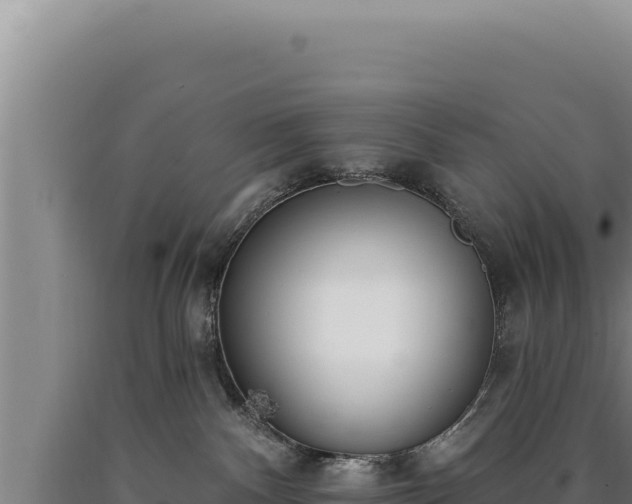 X0000090750140200707271453