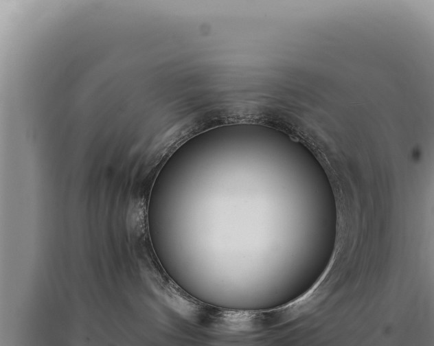 X0000090750144200707271453