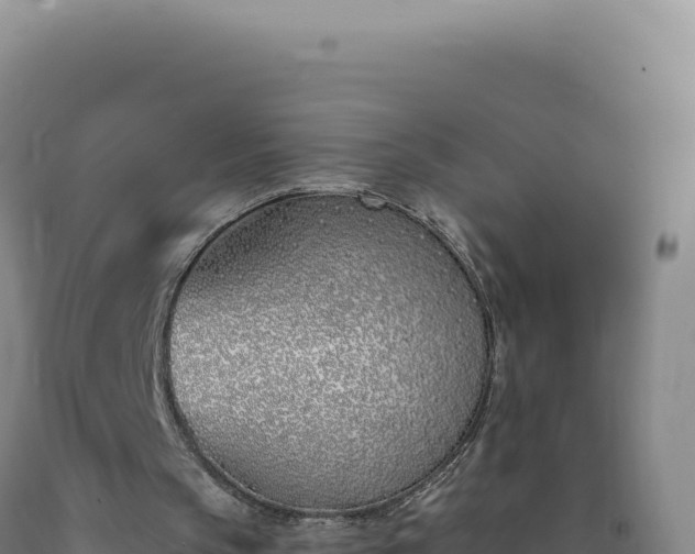 X0000090750145200707271452