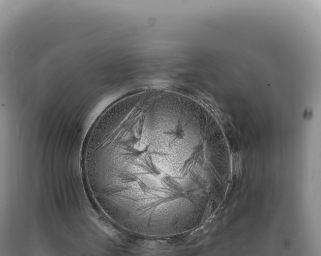 X0000090750147200707271452