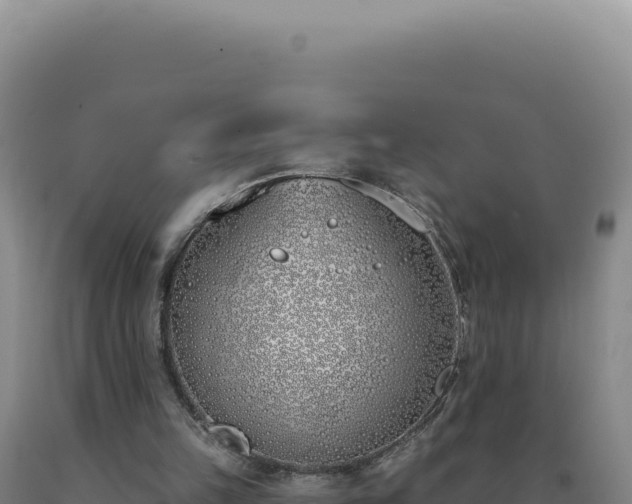 X0000090750149200707271452