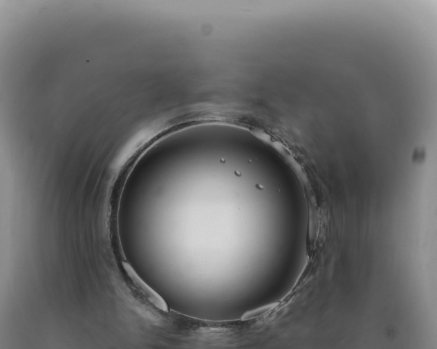 X0000090750150200707271452