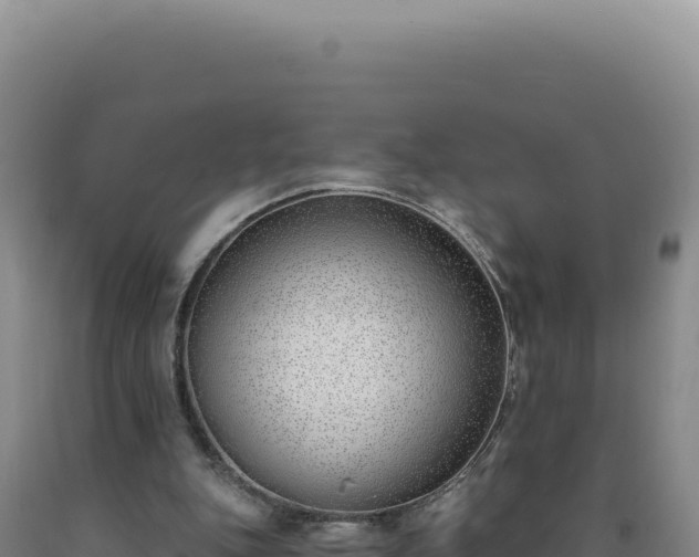 X0000090750151200707271452