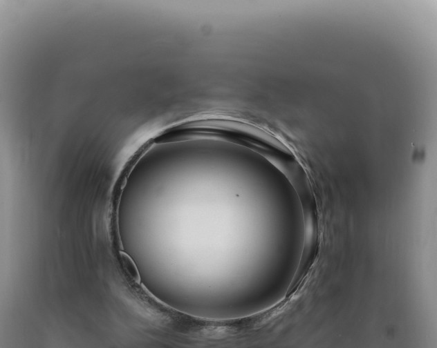 X0000090750152200707271452