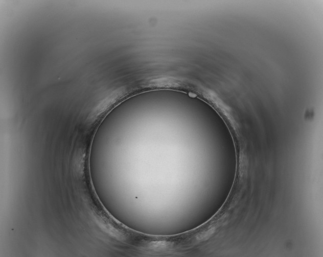 X0000090750153200707271452