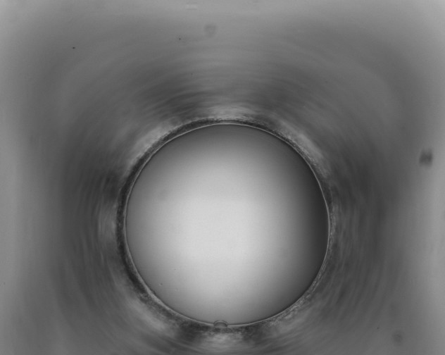 X0000090750155200707271452