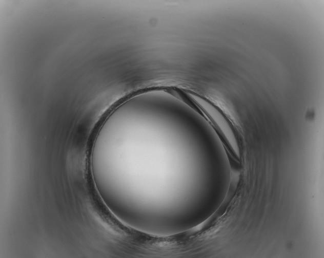 X0000090750156200707271452