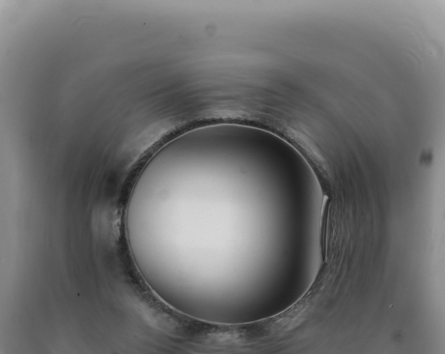 X0000090750160200707271452