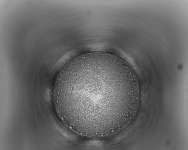 X0000090750161200707271452