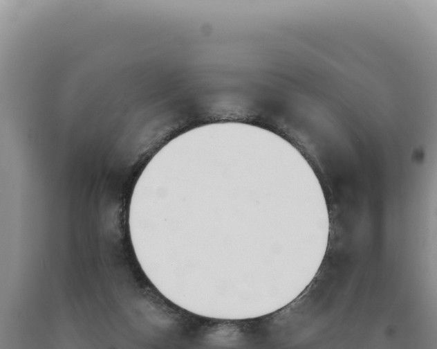 X0000090750162200707271452