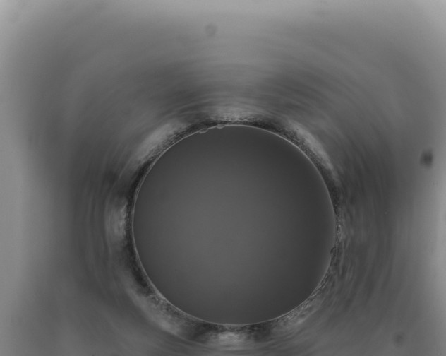 X0000090750163200707271452