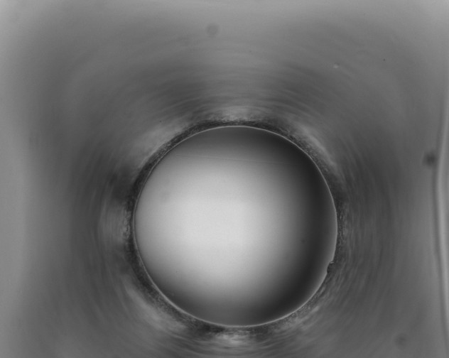 X0000090750164200707271452