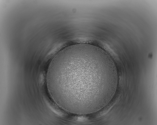 X0000090750165200707271452