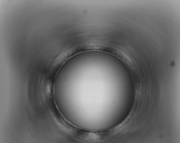 X0000090750166200707271452