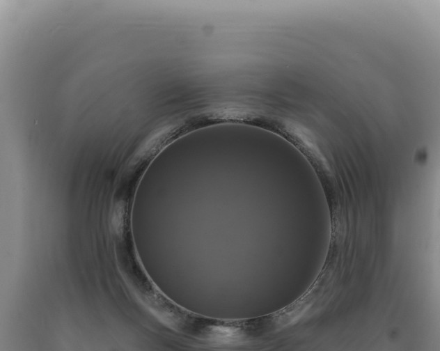 X0000090750167200707271452