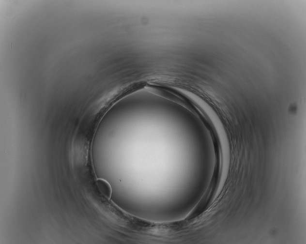 X0000090750168200707271452