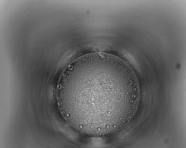 X0000090750169200707271452