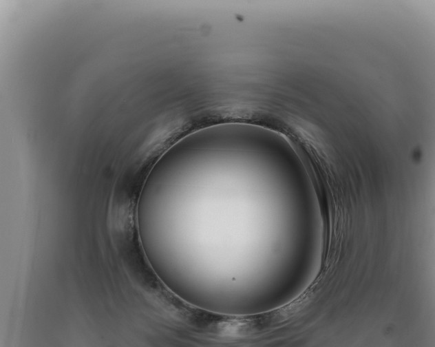 X0000090750172200707271453