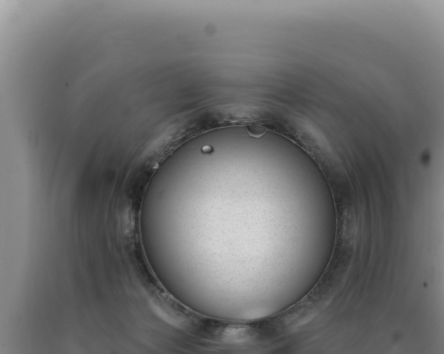 X0000090750173200707271453