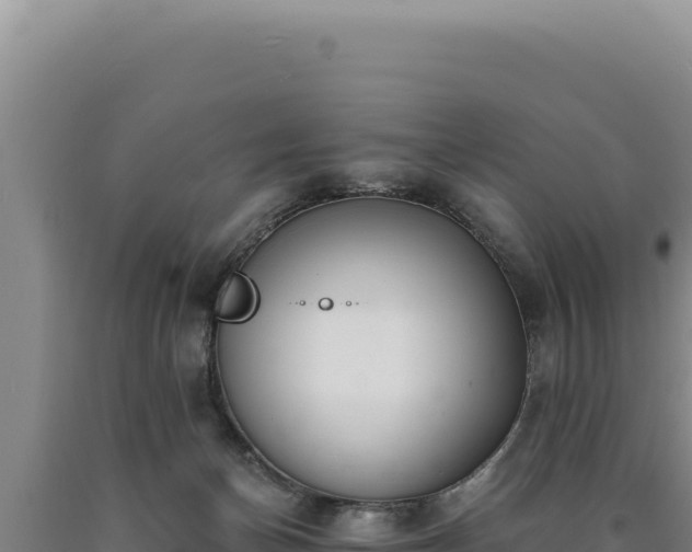 X0000090750174200707271453