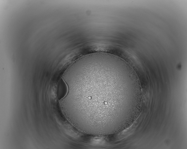 X0000090750175200707271453