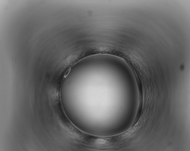 X0000090750176200707271453