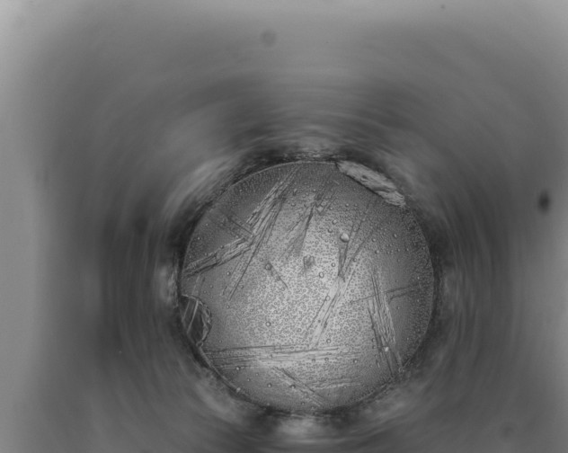 X0000090750177200707271453