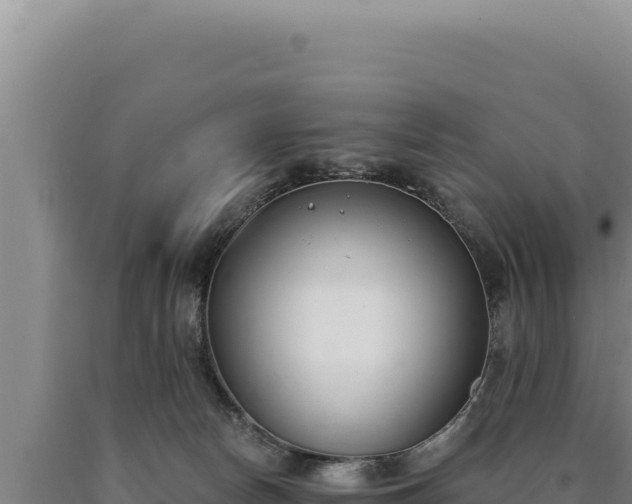 X0000090750178200707271453