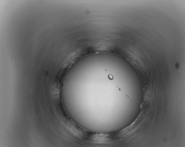 X0000090750179200707271453