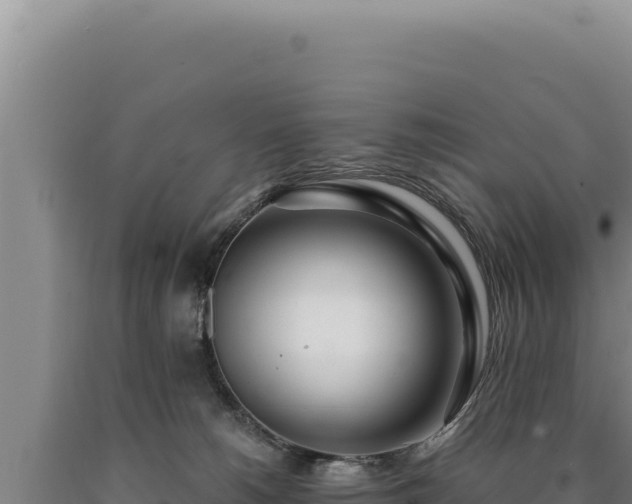 X0000090750180200707271453