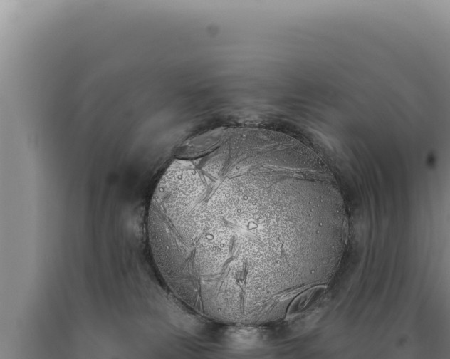 X0000090750181200707271453